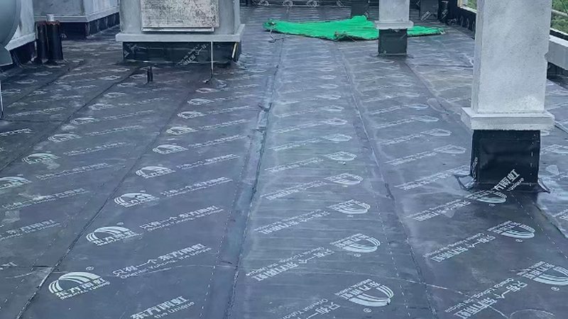 高分子防水卷材：揭秘价格与规格背后的秘密**